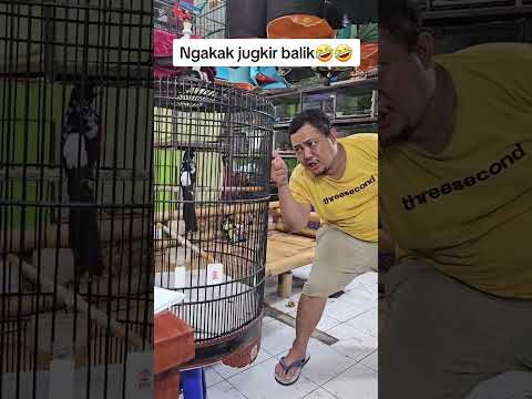 😆😆😆 #graha mbrk #sultan murai
