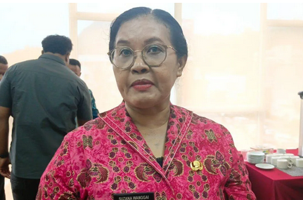 Membaca Peluang dari Perbatasan, Papua Bidik Wisata Medis untuk Dongkrak Ekonomi