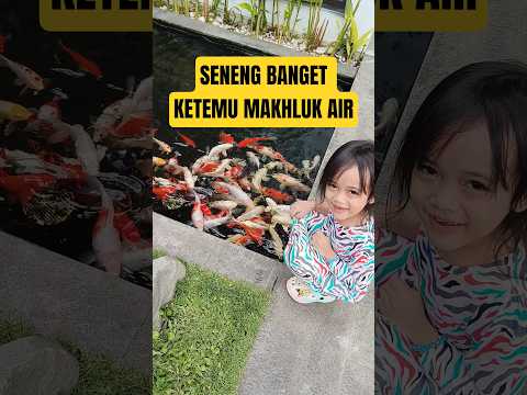 MANCING MANIA #ikan #ikankoi #fish #bocillucu #fypシ゚viral #trending #subscribe #shorts #viralvideo