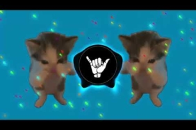 DJ KICAU KICAU KICAU MANIA SLOW VIRAL TIKTOK FULL SONG MAMAN FVNDY 2026