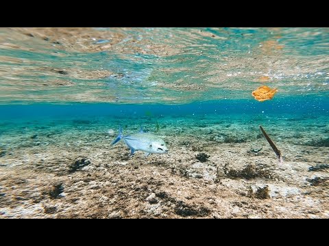 TRIP MANCING JAUH SUPIORI BARAT – Casting fishing bersama rekan-rekan komunitas
