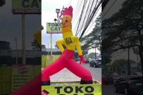 kicau kicau mania