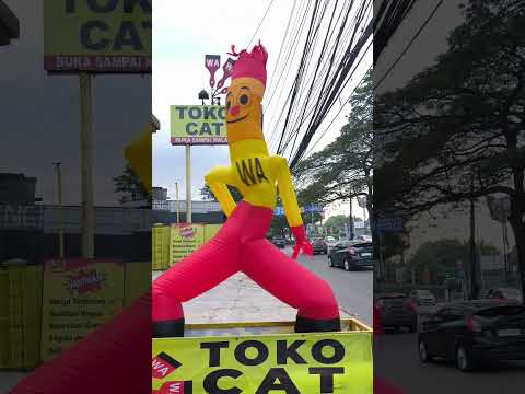 kicau kicau mania
