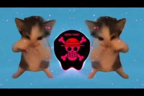 DJ KICAU KICAU MANIA REMIX SLOW ANGKAT LAH TOPI MINAT MONGGO JAPRI SLOW VIRAL TIKTOK FULL SONG 2026