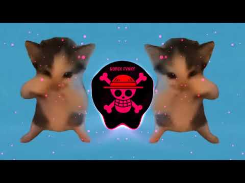 DJ KICAU KICAU MANIA REMIX SLOW ANGKAT LAH TOPI MINAT MONGGO JAPRI SLOW VIRAL TIKTOK FULL SONG 2026