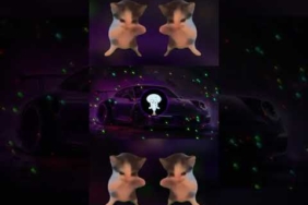 DJ KICAU MANIA REMIX ANGKATLAH TOPI SLOW VIRAL TIK TOK 2026