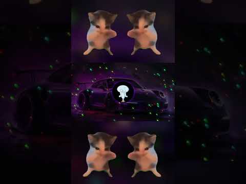 DJ KICAU MANIA REMIX ANGKATLAH TOPI SLOW VIRAL TIK TOK 2026