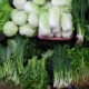 jangan-langsung-dimakan,-ini-risiko-makan-sayur-yang-belum-dicuci