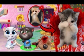 KUCING KICAU MANIA DATANG KERUMAH TOM ANGELA!!! – MY TALKING TOM FRIENDS
