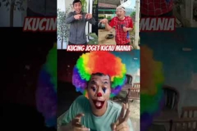 kompilasi||kucing lagi makan sama kucing lagi joget kicau mania #shorts #funny
