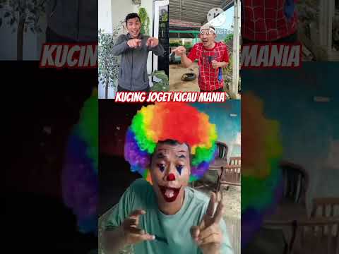 kompilasi||kucing lagi makan sama kucing lagi joget kicau mania #shorts #funny