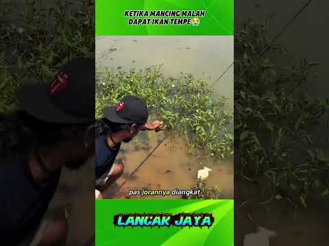 KETIKA LAGI MANCING DAPAT IKAN TEMPE😭 #shorts