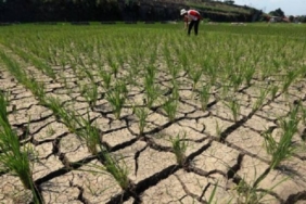 tenang,-brin-bilang-el-nino-2026-bukan-‘godzilla’,-meski-kemaraunya-tetap-panjang