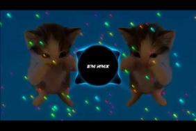 DJ KICAU KICAU MANIA X CURI CURI PANDANG SLOW VIRAL TIKTOK FULL SONG MAMAN FVNDY TERBARU 2026
