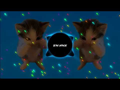 DJ KICAU KICAU MANIA X CURI CURI PANDANG SLOW VIRAL TIKTOK FULL SONG MAMAN FVNDY TERBARU 2026