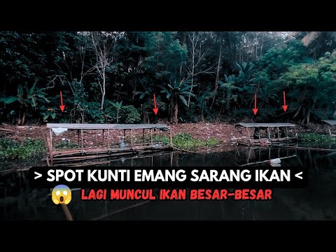 SPOT ANGKER KUNTI EMANG SARANG IKAN | MANCING MANIA
