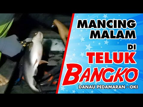 Mancing Malam di Teluk Bangko – Danau Pedamaran | Giwangkara Fishing