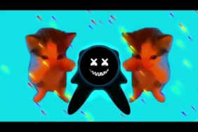 DJ KICAU KICAU MANIA REMIX ANGKATLAH TOPI MINAT MONGGO JAPRI VIRAL TIKTOK TERBARU 2026
