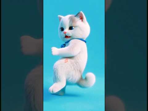 Kicau Mania – Ndarboy Genk x Banditoz Yaow 86 ( Gas Pol Ndangak ) Manukku Siap Nembak | Cute Cat