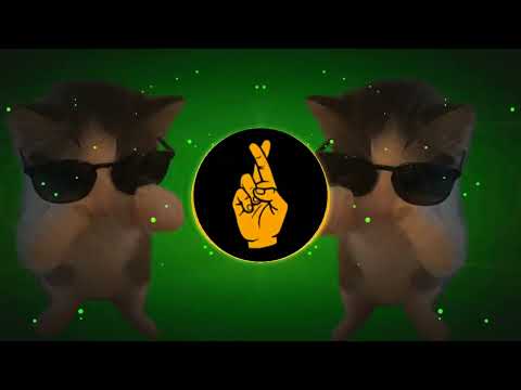 DJ KICAU KICAU KICAU MANIA X CURI CURI PANDANG VIRAL TIKTOK FULL SONG TERBARU 2026
