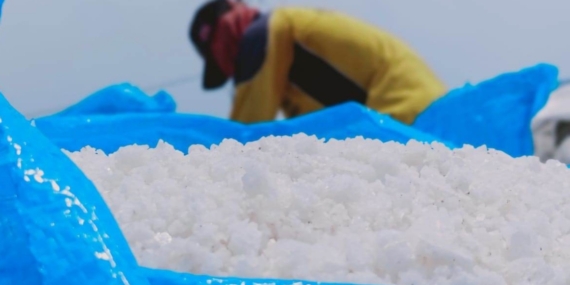 Hujan Masih Turun, Produksi Awal Garam di Cirebon Alami Gangguan