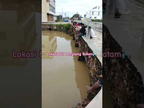 mancing mania #galaubrutal #automobile #lucu #storywa30detikgalau #beranda