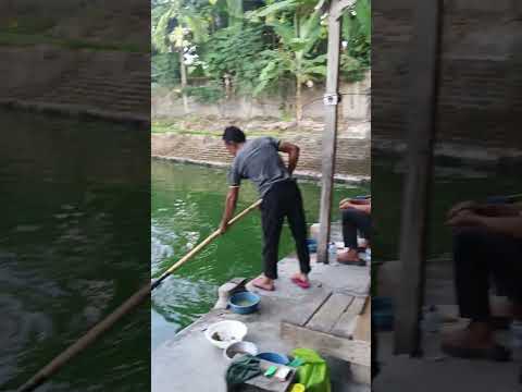 kakek tua vs ikan legenda #fishing #mancing #belajarmancing #fypshorts #mancingmania #fyp