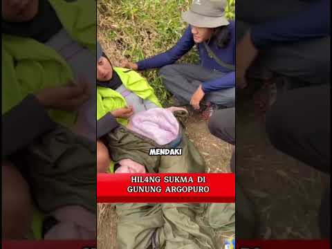 Hilang sukma di gunung argopuro #mountain #pendaki #hiking #outdoors #gunung #pendakigunung