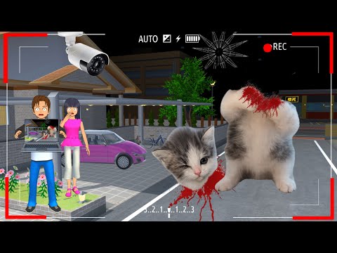 Yuta Mio Panik CCTV Merekam Ada KUCING KICAU MANIA Berkepala buntung Di Depan Rumah 😱 | Sakura