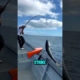 Memancing ikan di laut #short #mancingmantap #mancingmania #mancing
