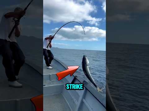 Memancing ikan di laut #short #mancingmantap #mancingmania #mancing