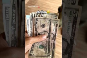 NAIK GUNUNG PAKE DOLLAR? 😭💸 MAHAL 😭😭 #pendaki #pendakigunung #gunung