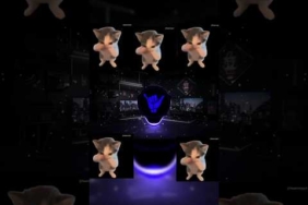 DJ KICAU KICAU MANIA SLOW BASS VIRAL TIKTOK TERBARU 2026