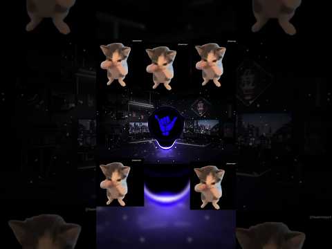 DJ KICAU KICAU MANIA SLOW BASS VIRAL TIKTOK TERBARU 2026