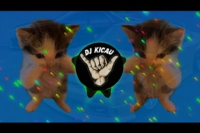 DJ KICAU KICAU KICAU MANIA SLOW VIRAL TIKTOK FULL SONG MAMAN FVNDY 2026 #djfullbass