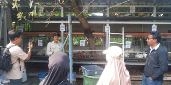 Kenalan dengan Apartemen Ayam-Maggot di Bandung Rancangan Dosen ITB