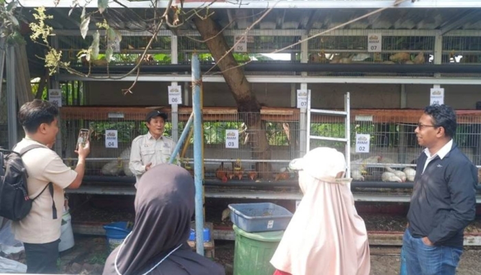 kenalan-dengan-apartemen-ayam-maggot-di-bandung-rancangan-dosen-itb