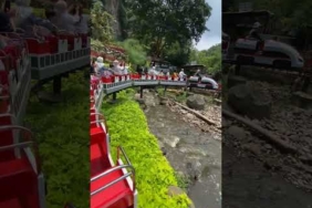 Kicau kicau – Kicau Mania #kicaumania#badut#kicaumanianusantara#joget#funny#dance#viral#virals#virus
