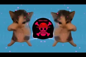DJ KICAU KICAU MANIA REMIX ANGKAT LAH TOPI MINAT MONGGO JAPRI SLOW VIRAL TIKTOK FULL SONG 2026