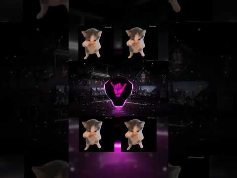 DJ KICAU KICAU MANIA SLOW BASS VIRAL TIKTOK TERBARU 2026