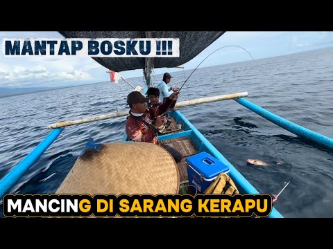 MANTAP !!! MANCING DI SARANGNYA RAJA KERAPU,TRIP CS SEDULURAN MANCING 2026 TERBARU.
