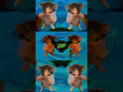 DJ KICAU KICAU MANIA REMIX ANGKATLAH TOPI MINAT MONGGO JAPRI VIRAL TIKTOK TERBARU 2026