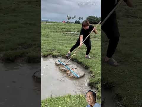MANCING MANIA | PERANGKAP IKAN PENGKI #faktaunik #perangkapikan #ikan #shortvideo