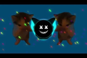 DJ KICAU KICAU KICAU MANIA REMIX SLOW FULL SONG VIRAL TIKTOK TERBARU 2026 YANG KALIAN CARI CARI!!!