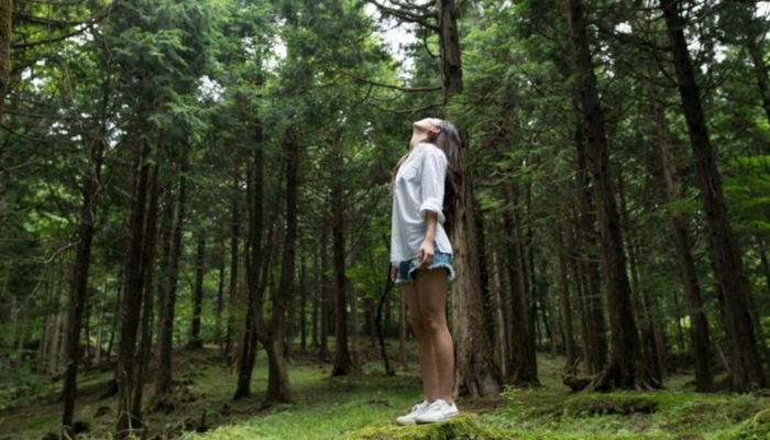 rahasia-healing-di-hutan-terungkap,-ada-senyawa-ini-yang-bikin-tubuh-dan-pikiran-lebih-sehat