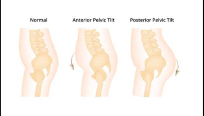 mengenal-transversus-abdominis:-rahasia-kekuatan-otot-inti-dan-cara-melatihnya