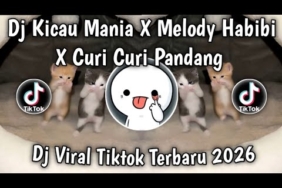 DJ KICAU MANIA X MELODY HABIBI X CURI CURI PANDANG SOUND VIRAL DI TIKTOK BANYAK DI CARI 2026