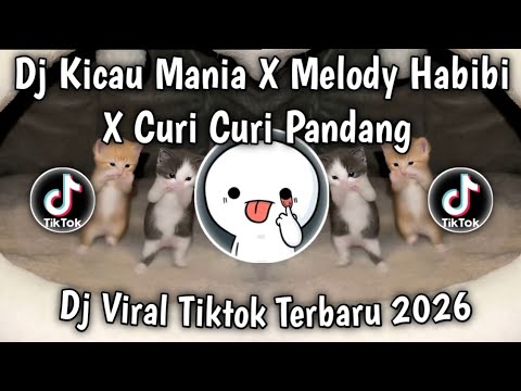 DJ KICAU MANIA X MELODY HABIBI X CURI CURI PANDANG SOUND VIRAL DI TIKTOK BANYAK DI CARI 2026