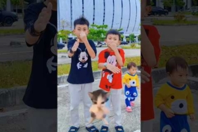 Kicau Mania #shorts #fyp #soundviral #viral #dance #trend #trending