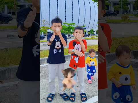 Kicau Mania #shorts #fyp #soundviral #viral #dance #trend #trending